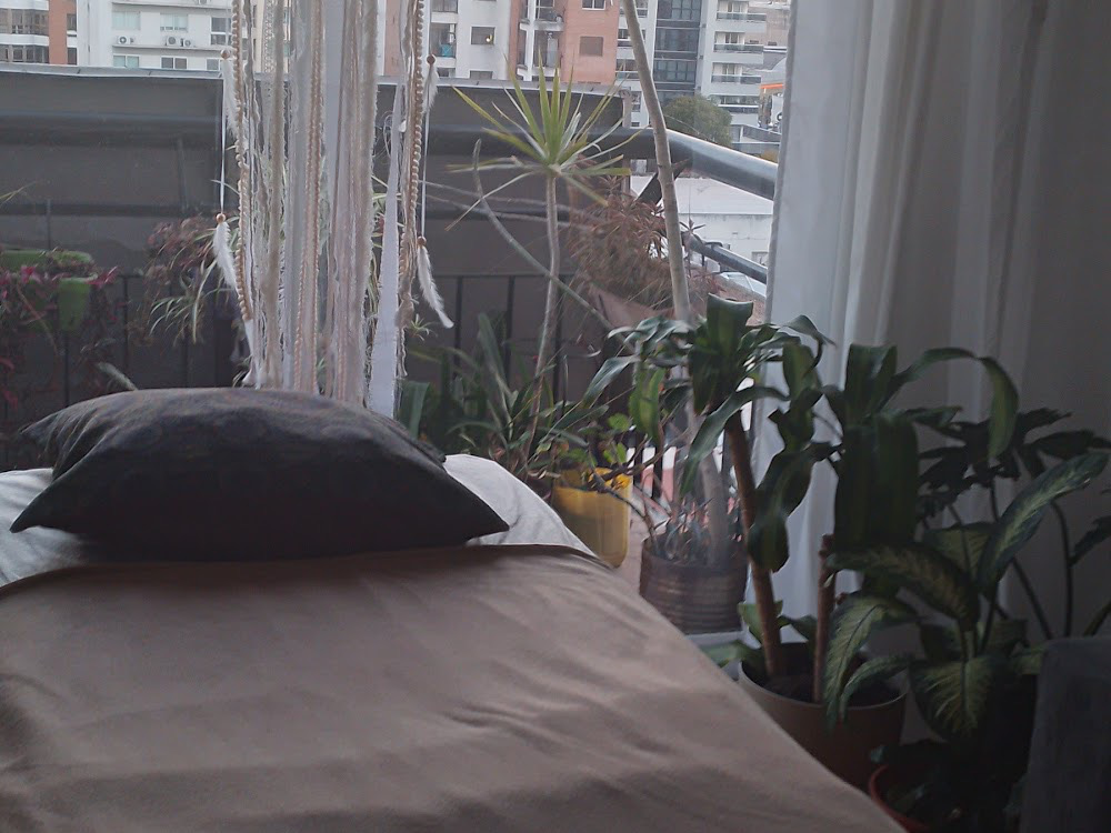 Sala de masajes de Aliciá Ledesma en Temperley, con plantas y vista a la ciudad
